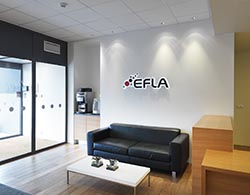 efla - 2010